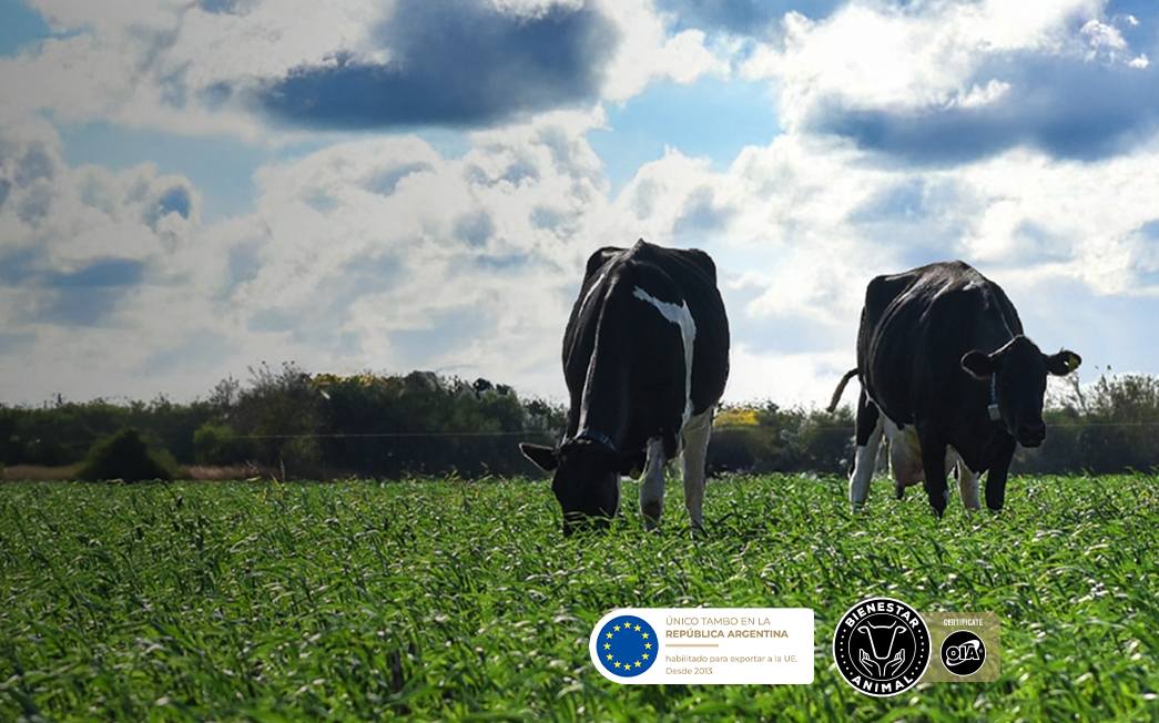 La Rosalía · Leche ecopremium y quesos