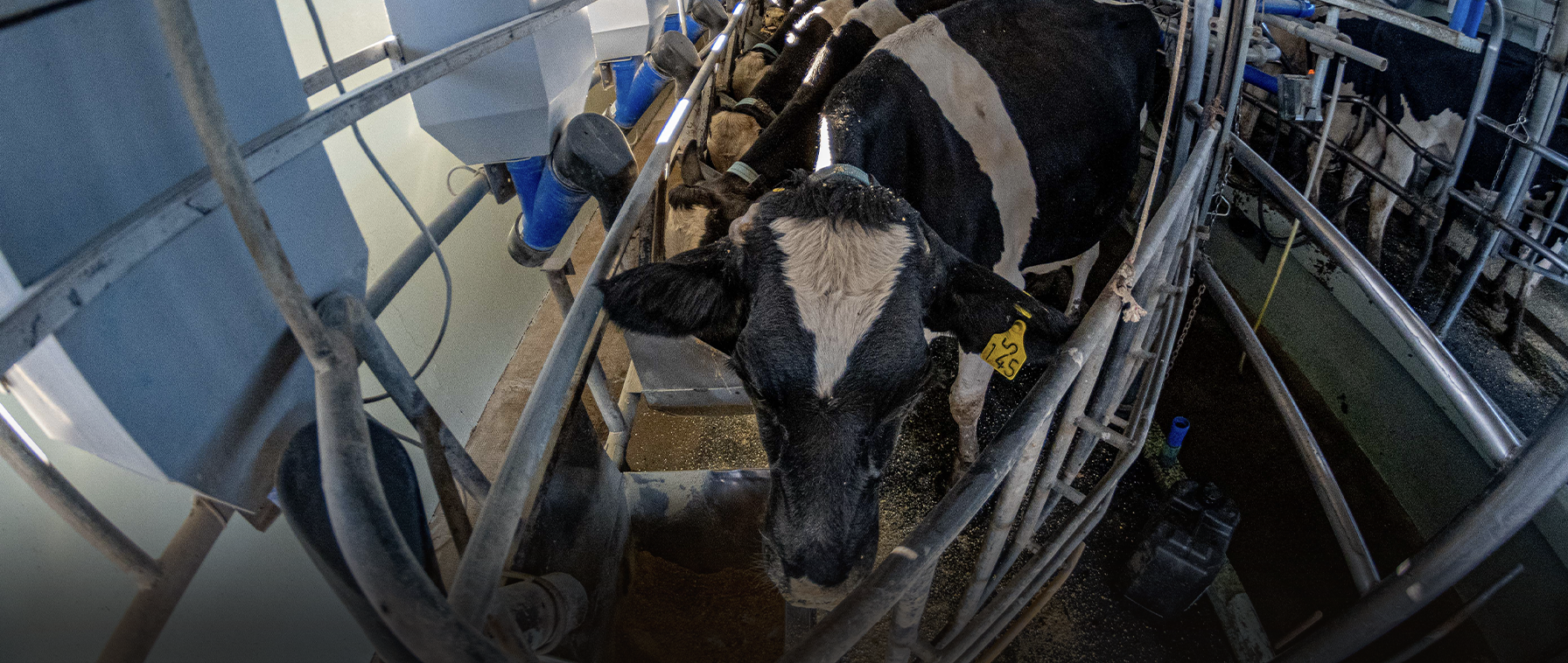 La Rosalía · Leche ecopremium y quesos